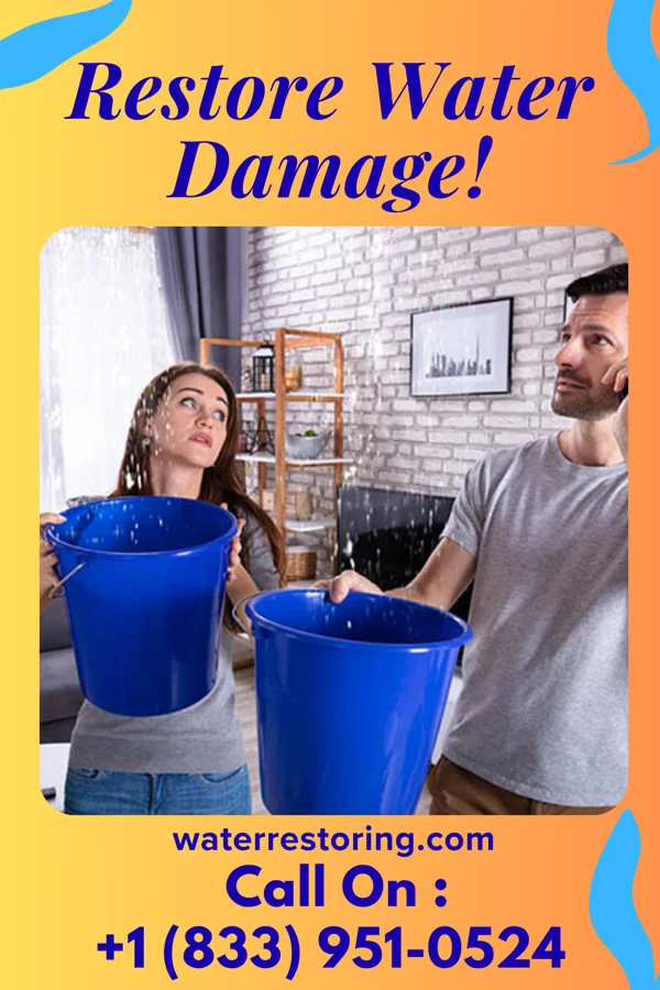 water restoration Shield Sewage Cleanup & Associates Arlington